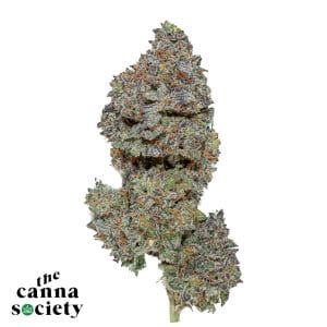 Pure Michigan AAAA+ *$120 Ounces*