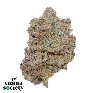 *STRONG NOSE* Holiday Special by Exotic Genetix AAAA+ *$99 Ounces*