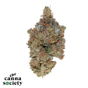 Bluefin Tuna Kush AAAA *$99 Ounces*