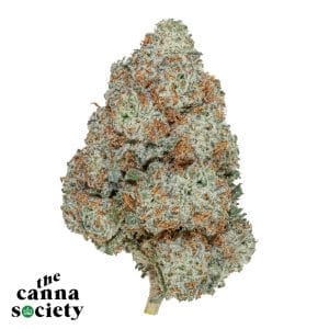 Money Ball by Exotic Genetics AAAA+ *$120 Ounces*